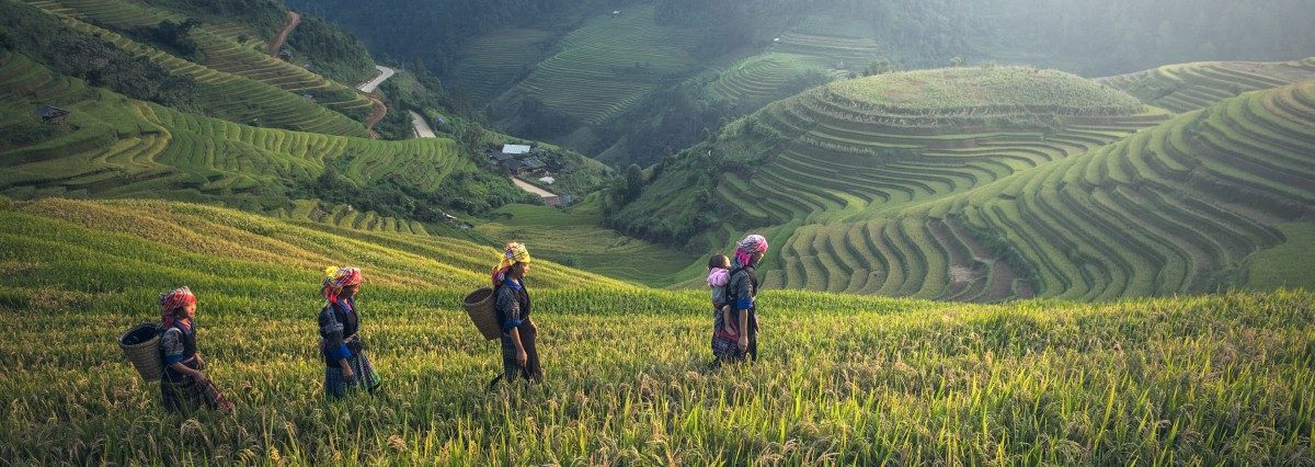 voyage au vietnam